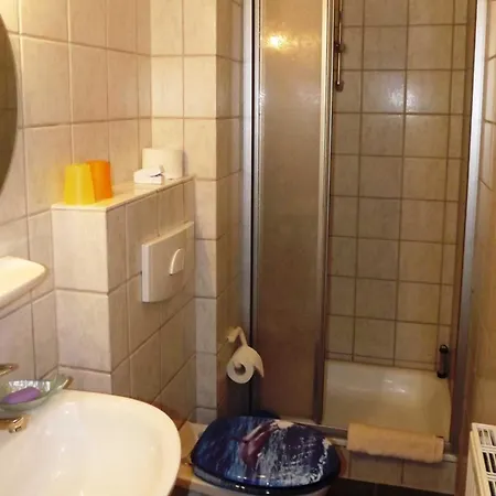 Haus Roland _ 10 公寓 *