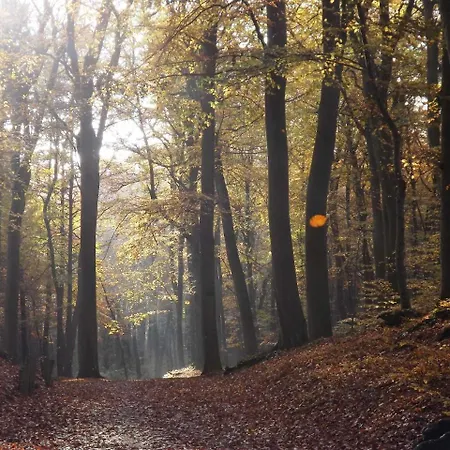 Haus Roland _ 10 奥斯特西巴德钦诺维茨